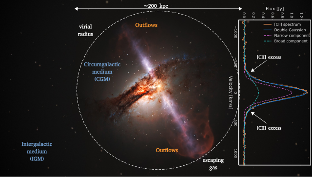 Fig. 1: Artist’s illustration of galactic outflows. Star-formation activity can produce powerful winds (outflows) that could possibly carry the gas at very large distances, out in the intergalactic medium. The broad wings in the spectra of[CII] 158 μm lines are a clear signature of outflowing atomic gas. Credit: ESA/Hubble, ESO/L. Calçada, M. Romano.